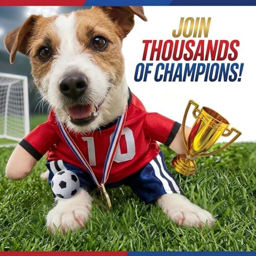 T2Y Dog Soccer Costume -Standing Pet Outfit for Small Dogs(S) - Image 4
