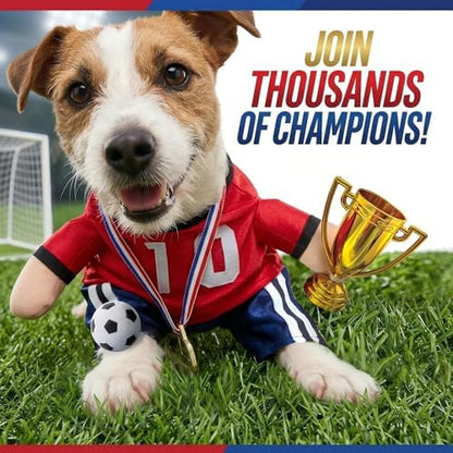 T2Y Dog Soccer Costume -Standing Pet Outfit for Small Dogs(S) - Image 4