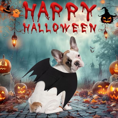 Dog Bat Costume Dog Halloween Costume Dogs Bat Wings with Pumpkin Bags - Image 3