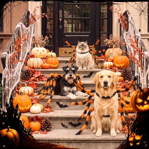 Huhumy Halloween Spider Costume with Safety Harness for Pets, Orange, S - Image 6