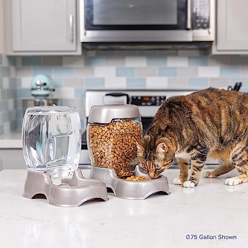Petmate Pet Cafe Water Dispenser, XS, 0.25 GAL, Pearl Ash Blue, 7.3in