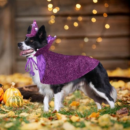 JOICEE Halloween Dog Costume, Witch Hat with Cape Set for Small Medium Dog - Image 6