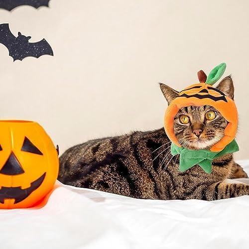ALIBBON Cat & Dog Halloween Costume - Pumpkin Headdress & Cap Set for Puppy & Kitty Cosplay - Image 3
