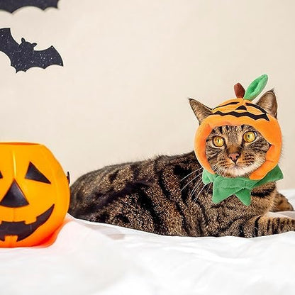 ALIBBON Cat & Dog Halloween Costume - Pumpkin Headdress & Cap Set for Puppy & Kitty Cosplay - Image 3