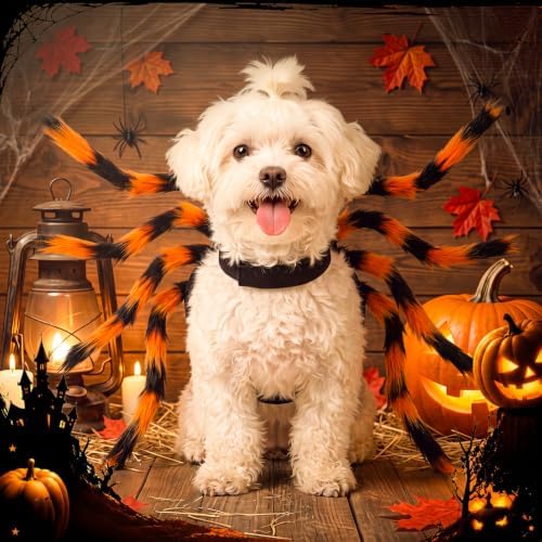 Huhumy Halloween Spider Costume with Safety Harness for Pets, Orange, M - Image 4
