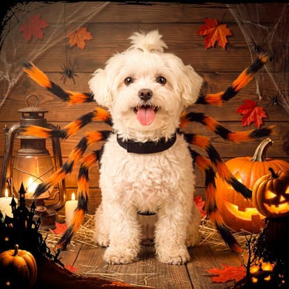 Huhumy Halloween Spider Costume with Safety Harness for Pets, Orange, M - Image 4