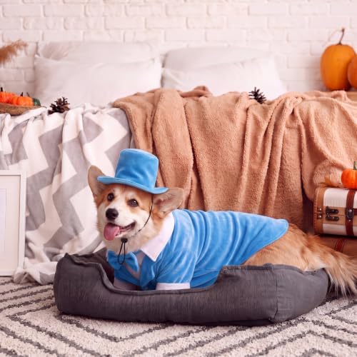 Dansydaisy 2 Pcs Halloween Orange and Blue Tuxedo Dog Costumes, Blue, XL - Image 4