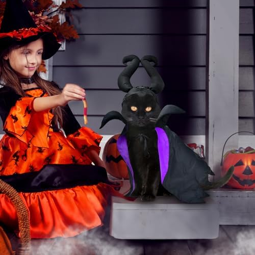 Witch Costume - Dog & Cat Halloween Cloak & Hat with Devil Horns & Vampire Teeth - Small & Medium Sizes - Image 3