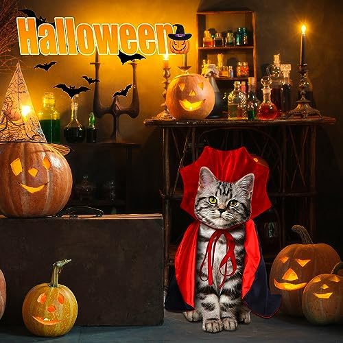 Halloween Cat Costume Vampire Cape for Small Medium Dogs Cats Witch Cloak - Image 3