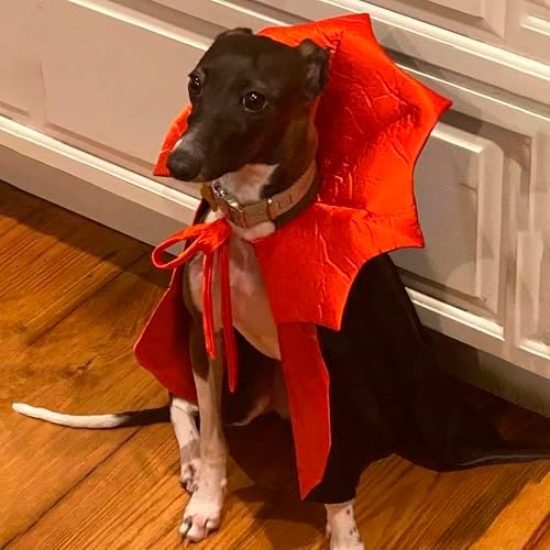 ADOGGYGO Halloween Dog Vampire Costume, Red Black Devil Dog Cape, Medium - Image 3