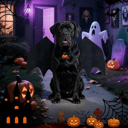 Dog Halloween Bat Wings Costume XL，Pet Halloween Cosplay Apparel XLarge - Image 6