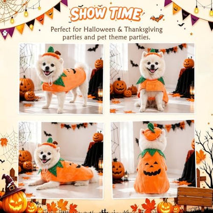 Yoption Halloween Dog Pumpkin Costumes with Hat for Dogs Cats, Small - Image 3