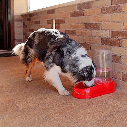 Ferplast Dispenser Food or Water for Large Dogs AZIMUT 5500 pet Dispenser 5,5 Liter Feeder for Dry Food Water, Robust Plastic, Non-Slip Bottom, 23 x 41 x h 37,5 cm White