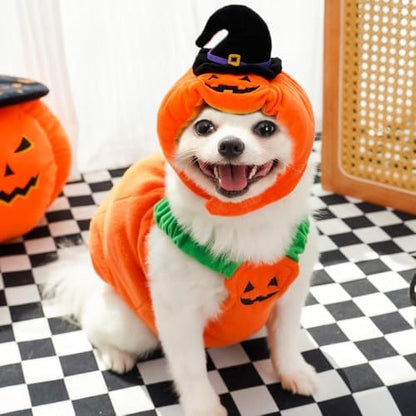ANIAC Dog Pumpkin Costume Halloween Cat Pumpkin Outfit Funny Puppy Clothes for Small Dogs Pet Party Cosplay Accessories (Orange Hat, Free Size for Hat) - Image 6