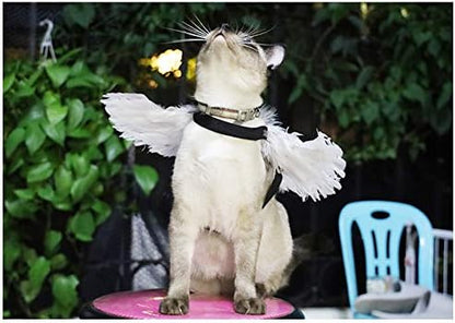 WeeH Pet Halloween Costume Cosplay Angel Devil Black White Wing for Dog Cat Rabbit Piggy - Funny Gift at Halloween Party Anime Theme Birthday Christmas (Black, Large) - Image 2