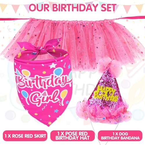 SCENEREAL Dog Birthday Bandana with Hat and Dress Girl Set, Puppy Birthday Party Supplies, Cute Pink Tutu Skirt Outfit for Small Medium Large Dogs - Image 3