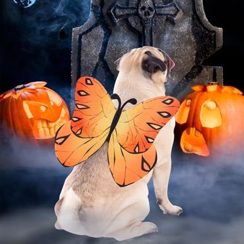 Dog Costumes Butterfly Wings Dog Clothes Halloween Costumes Cat Costume - Image 6
