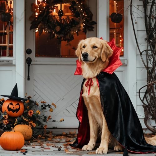 Halloween Dog Vampire Cloak Costume for Large XL Dogs, Black Red - Image 5