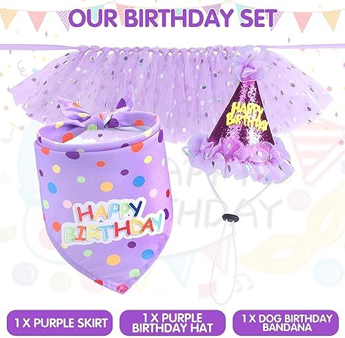 SCENEREAL Dog Birthday Bandana with Hat and Dress Girl Set, Puppy Birthday Party Supplies, Cute Tutu Skirt Outfit for Small Medium Large Dogs - Image 3