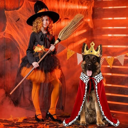 Halloween Dog King Costume Royal Cape with Crown for Medium Large Dogs - Image 5