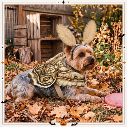 Tallew 2 Pcs Dog Halloween Costumes Moth Butterfly Wings,S,Grayish White - Image 6