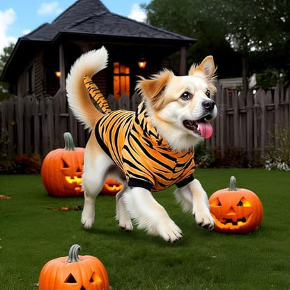 Halloween Dog Tiger Costume, Tigger Cat Hoodie with Tail and Ears - Image 5