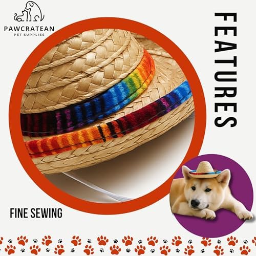 Pet Custom Dog Custom Cat Custom Hoodie, Sporty Look, Funny Gift, Halloween Holiday (Sombrero Hat, One Size) - Image 3