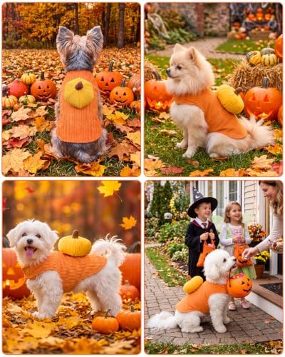 CuteBone Pumpkin Dog Halloween Costume Sleeveless Vest with 3D Pumpkin Decor Soft Corduroy Outfit Easy Velcro Closure Fall Party Clothes for Small Medium Dogs GBZ09S - Image 4