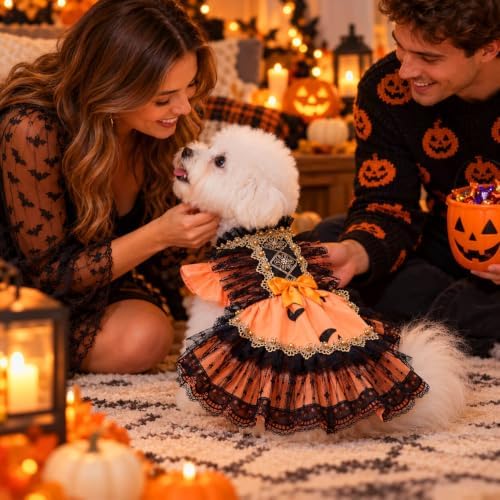 Halloween Dog Dress for Small Dogs Girl, Gothic Pumpkin Princess Puppy Costume with Orange Black Lace Mesh Skirt, Cute Halloween Pet Outfit for Photos(M) - Image 4