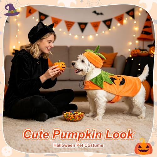 BEAUTYZOO Halloween Dog Pumpkin Costume, 2PCS Dog Halloween Costumes Cape,S - Image 5