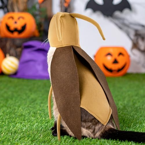 Halloween Puppy Cat Costume Dog Cockroach Shaped Outfits Pet Festival Cosplay Apparel for Small Dogs Cats - Image 6