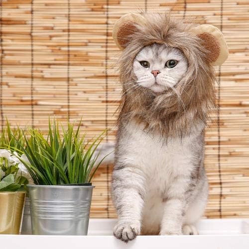 NAMSAN Pet Lion Costume for Cats Small Dogs Rabbits, Halloween Cat Lion Mane, Small Dog Wig Lions King Hat, Halloween Cat Lions Outfit for Holiday Party Cosplay Statue Decoration - Image 6