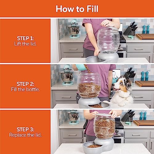 Petmate Replendish Automatic Cat and Dog Feeder, 2lbs, Grey