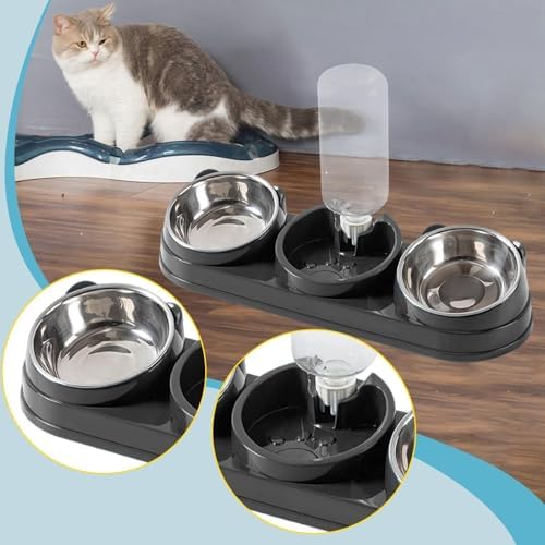 Triple Cat Bowls Pet Feeder with Water Dispenser 15° Tilted Wet and Dry Food Bowl Set for Small Dogs and Cats- Dark Gray