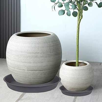 6 Pack of 7 inch Plant Saucer, Heavy Duty Plastic Plant Water Tray 7 inch Round, Flower Plant Saucers for Indoors No Holes, Plant Dishes Saucer for Planter 7"/8" (7", Cement)