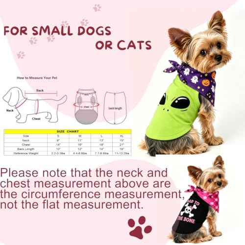 2-Piece Set Small Puppy Bad to The Bone Dog Shirt & Bandana Pet Cat Clothes Outfit XL - Image 2