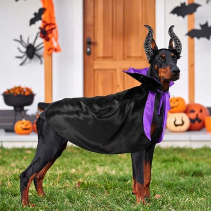 2 Pcs Dog Halloween Costume Set Cat Witch Vampire Cape Devil Horns Hat Holiday Clothes for Cat Puppy Halloween Party Pet Outfits (Purple) XL - Image 6