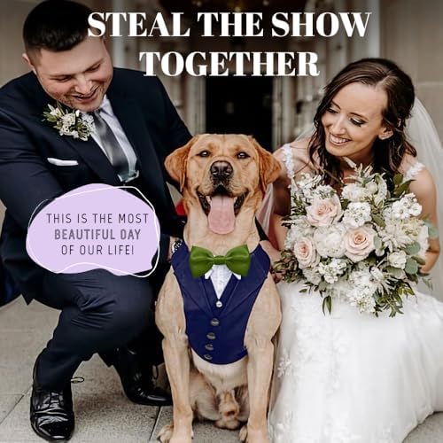 AVERYDAY Dog Tuxedo for Wedding Outfit, Dog Suit and Tie Costumes for Birthday, Halloween, Cosplay, Christmas Party, Pet Formal Wear with Bowtie, Tux for Medium Large Dogs, Bulldog, Labrador, Husky - Image 2