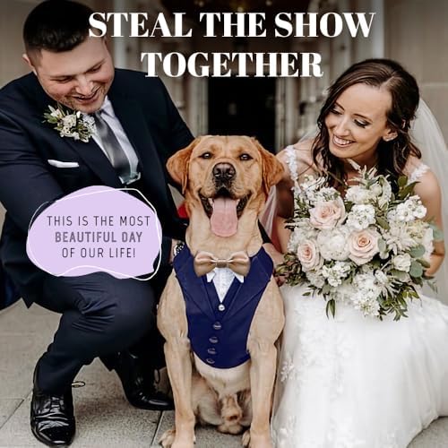 AVERYDAY Dog Tuxedo for Wedding Outfit, Dog Suit and Tie Costumes for Birthday, Halloween, Cosplay, Christmas Party, Pet Formal Wear with Bowtie, Tux for Medium Large Dogs, Bulldog, Labrador, Husky - Image 2