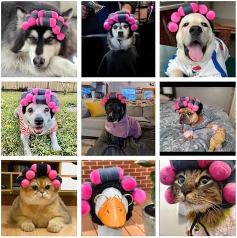 Spa Day Dog Costume Cosplay Wig, Curly Hair Pet Cat Wigs for Halloween Parties Dog Hats Wigs for Small Medium and Large Dogs Adjustable(Pet Head Circumference 8-27 inches) - Image 4