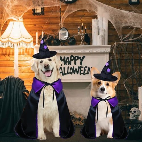 Dog Halloween Costumes, Dog Witch Costume Funny Pet Witch Cloak Cape Wizard Hat Holiday Outfit Clothes Halloween Costumes for Small Medium Large Dogs Pets (Medium) - Image 3