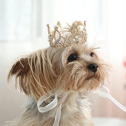 Lovelyshop Pearl Rhinestone Pet Crown for Dogs & Cats, Gold, XS by Lovelyshop