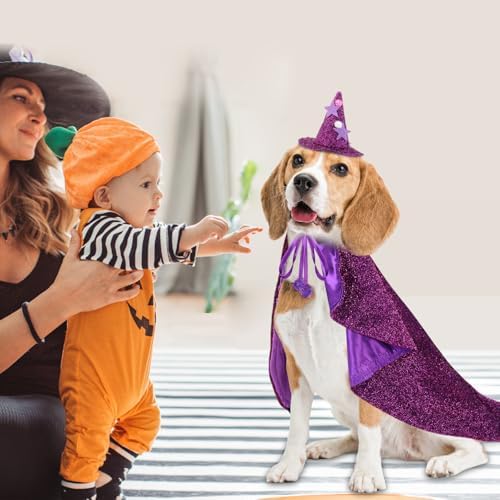 JOICEE Halloween Dog Costume, Witch Hat with Cape Set for Small Medium Dog - Image 4