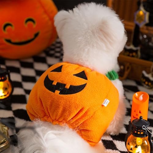 ANIAC Dog Pumpkin Costume Halloween Cat Pumpkin Outfit Funny Puppy Clothes for Small Dogs Pet Party Cosplay Accessories (Orange Clohes, X-Small) - Image 2