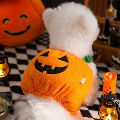 ANIAC Dog Pumpkin Costume Halloween Cat Pumpkin Outfit Funny Puppy Clothes for Small Dogs Pet Party Cosplay Accessories (Orange Clohes, X-Small) - Image 2