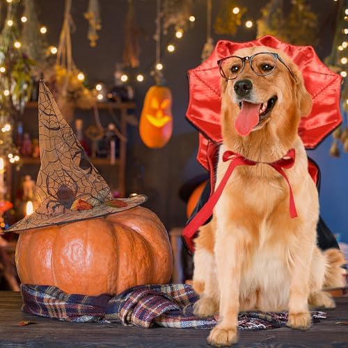 ROSAUI Halloween Pet Vampire Cape – 23.62″ Adjustable Red & Black Costume for Large Dogs (Golden Retriever, Labrador, German Shepherd) Spooky Cloak with Stand-Up Collar (L Size) - Image 5