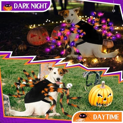 Halloween Spider Dog Costume with 64 Led for Medium Large Dog Pet Cosplay - Image 2