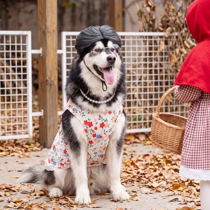 4Pcs Halloween Old Lady Costume Dog Grandma Outfit, Multicolor Floral, 4 XL - Image 2