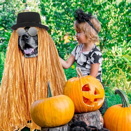 Dansydaisy 4 Pcs Pet Halloween Black Bowler Derby Hat Costume - Image 4