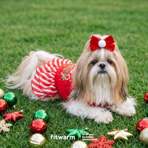 Fitwarm Candy Cane Cutie Dog Tiered Dress, Christmas Outfit for Small Dogs Girl, Funny Holiday Pet Clothes, Red, White, Green, Small - Image 4